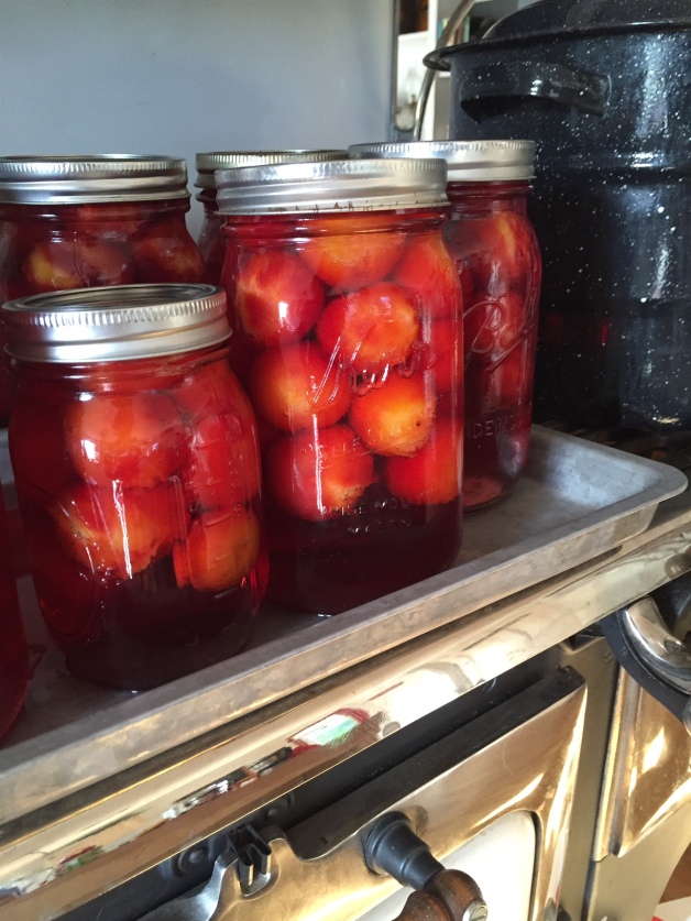 canned-plums